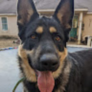 Meet your Posher, Kaydee